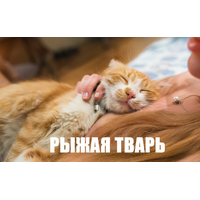 Ð¤Ð¾ÑÐ¾Ð³ÑÐ°ÑÐ¸Ð¸ Ð½Ð° ÑÑÐµÐ½Ðµ ÐÐ½Ð´ÑÐµÑ_353-WijaA5dXEZibjGK3NRTva2VayyNnXtLm.jpg